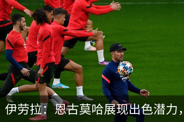 伊劳拉：恩古莫哈展现出色潜力，但不应频繁出场